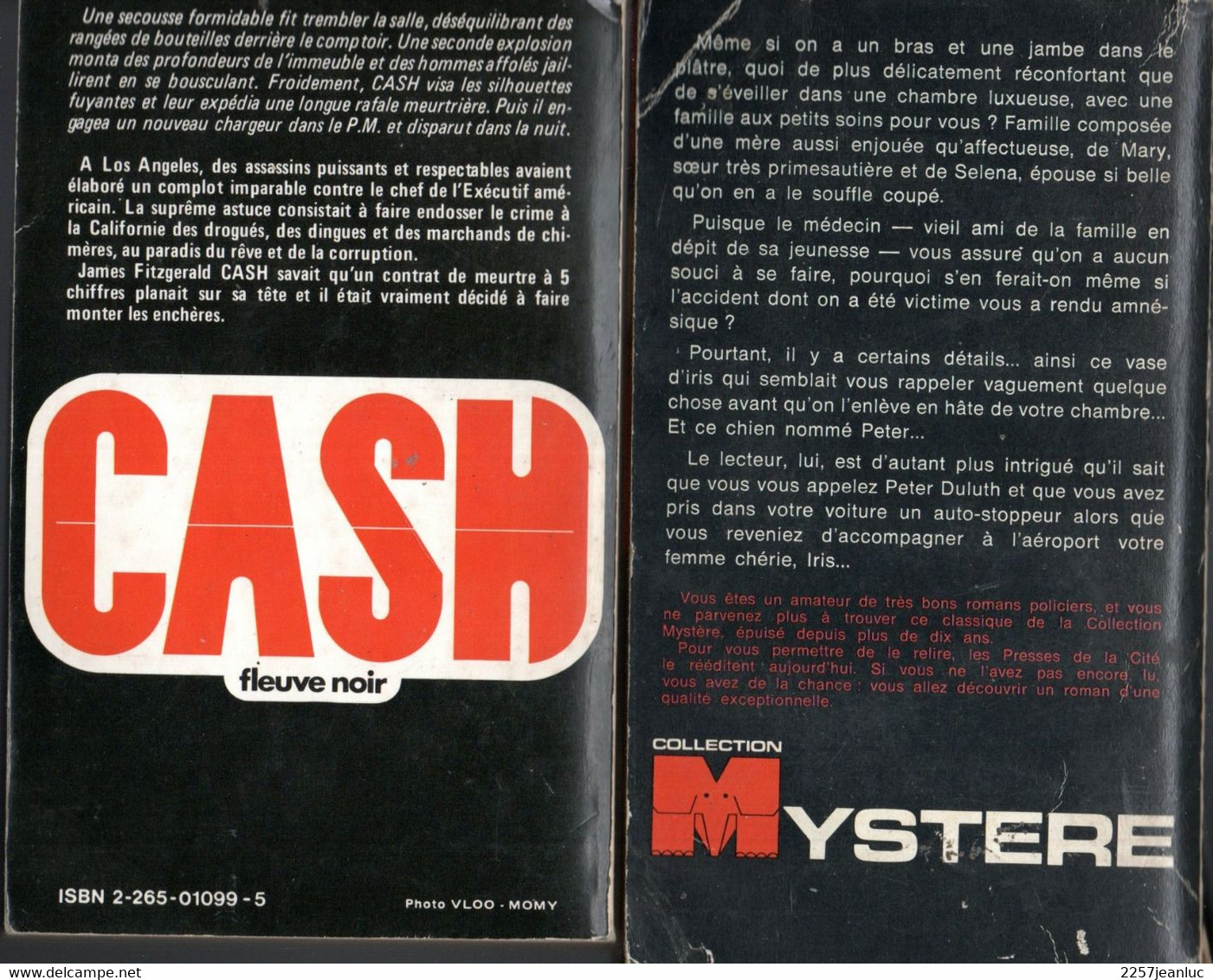 2 Romans Espionnage * Mystere Puzzle Pour Démon (1971 ) & Cash Epouvante A Los Angeles 1979 - Unclassified