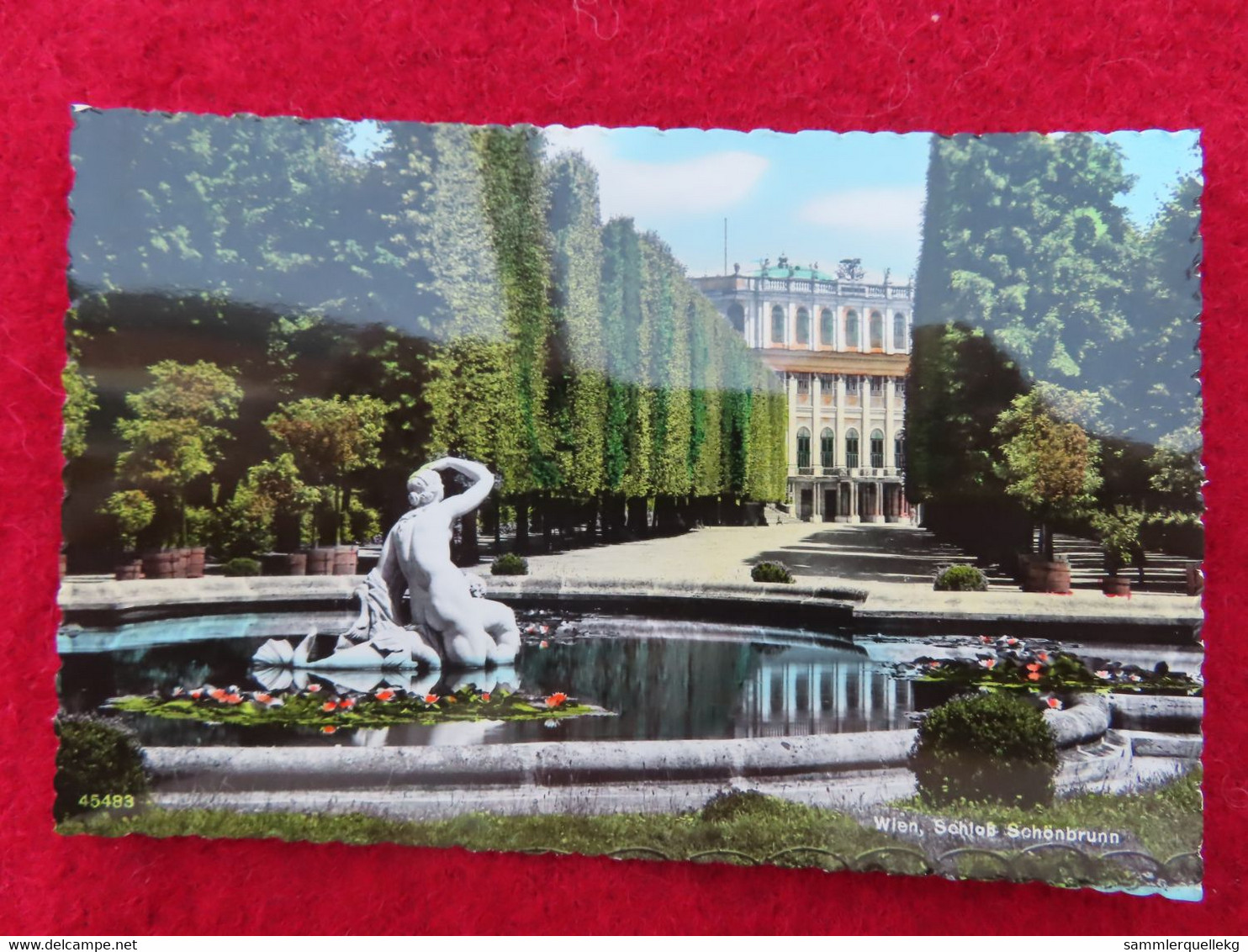 AK: Echtfoto - Schloss Belvedere, Ungelaufen (Nr. 746) - Belvedere