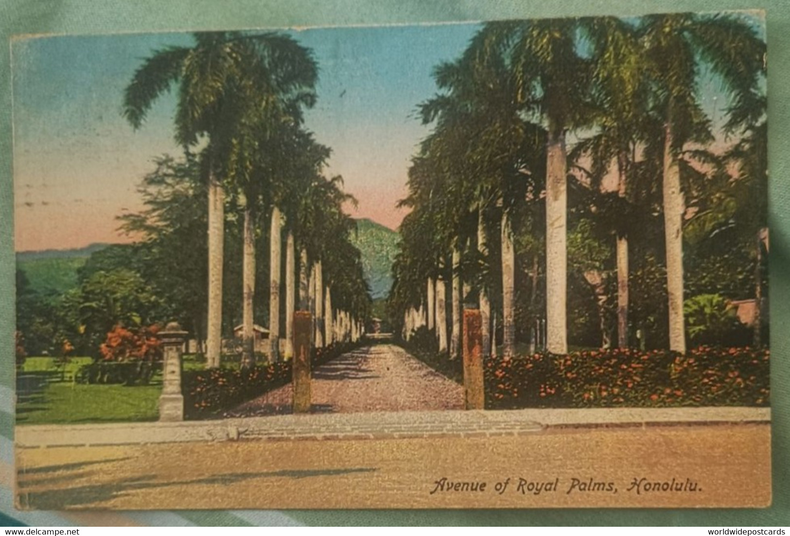 A271 US HAWAII - HONOLULU - AVENUE OF ROYAL PALMS 1925 TO BELGIUM PUBLISHED BY THE PARADISE POSTCARD - Honolulu