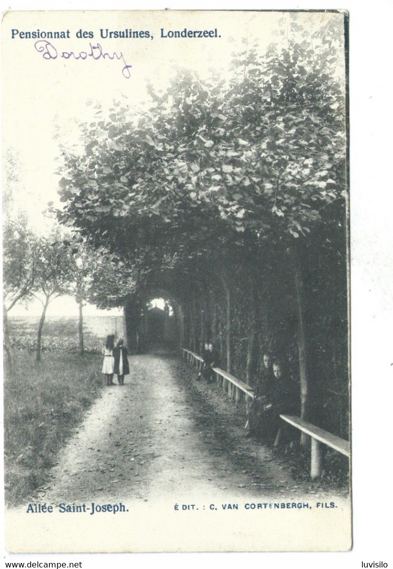 Londerzeel Pensionnat Des Ursulines Allée Saint Joseph - Londerzeel