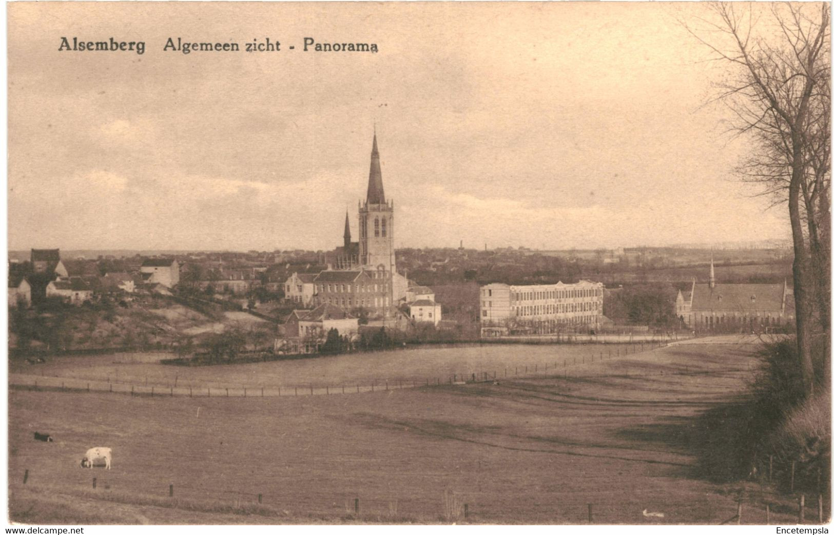 CPA Carte Postale Belgique Alsemberg  Vue Générale   VM46716 - Beersel