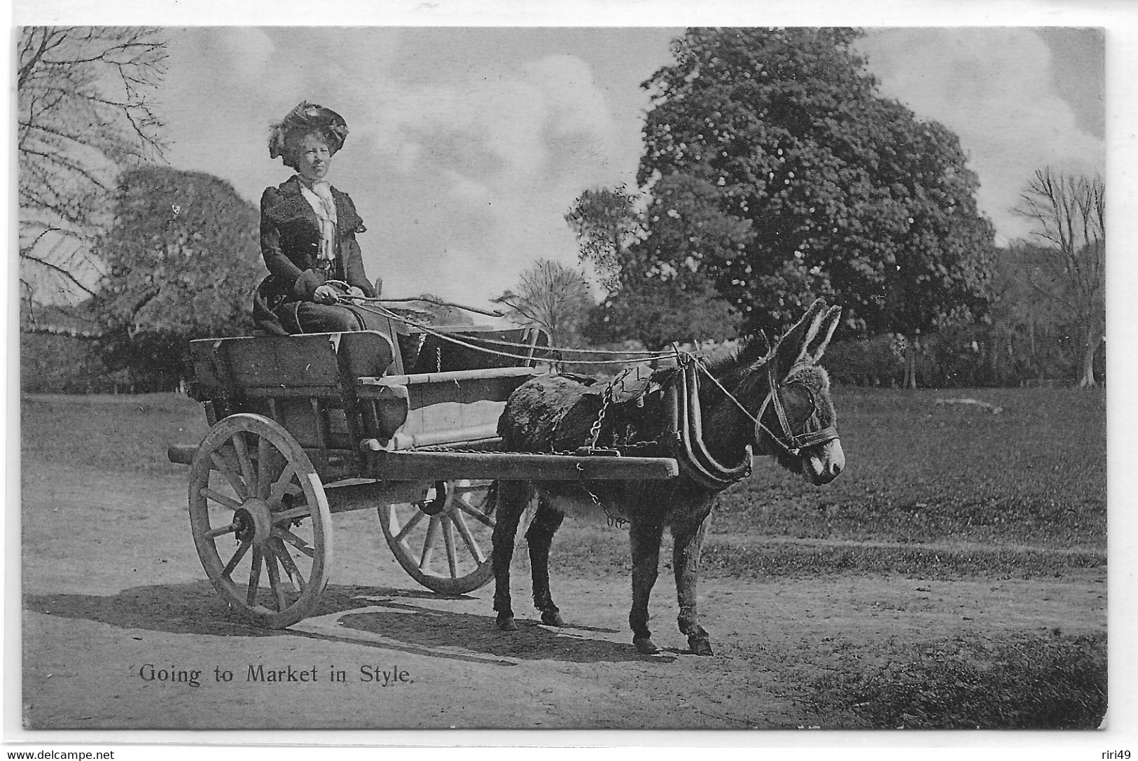 Cpa, Animaux, ANE, Attelage,  Personnage Feminin, "going To Market In Style", Dos Vierge Et Divisé - Donkeys