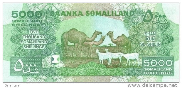 SOMALILAND P. 21a 5000 S 2011 UNC - Somalia