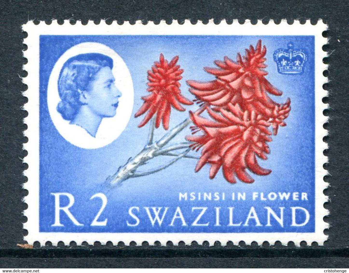 Swaziland 1962-66 Pictorials - 2r Msinsi In Flower HM (SG 105) - Swasiland (...-1967)