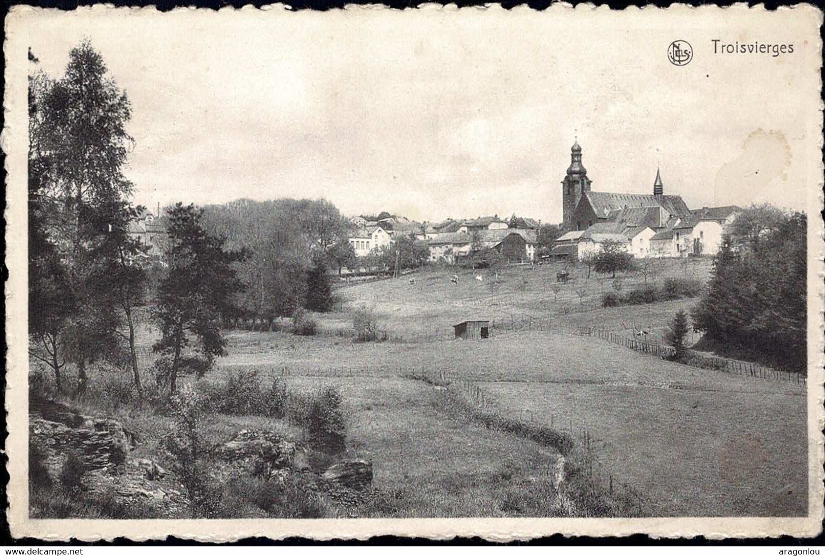 Luxembourg, Luxemburg  Carte-Vue Troisvierges Vue Panoramique, église - Troisvièrges