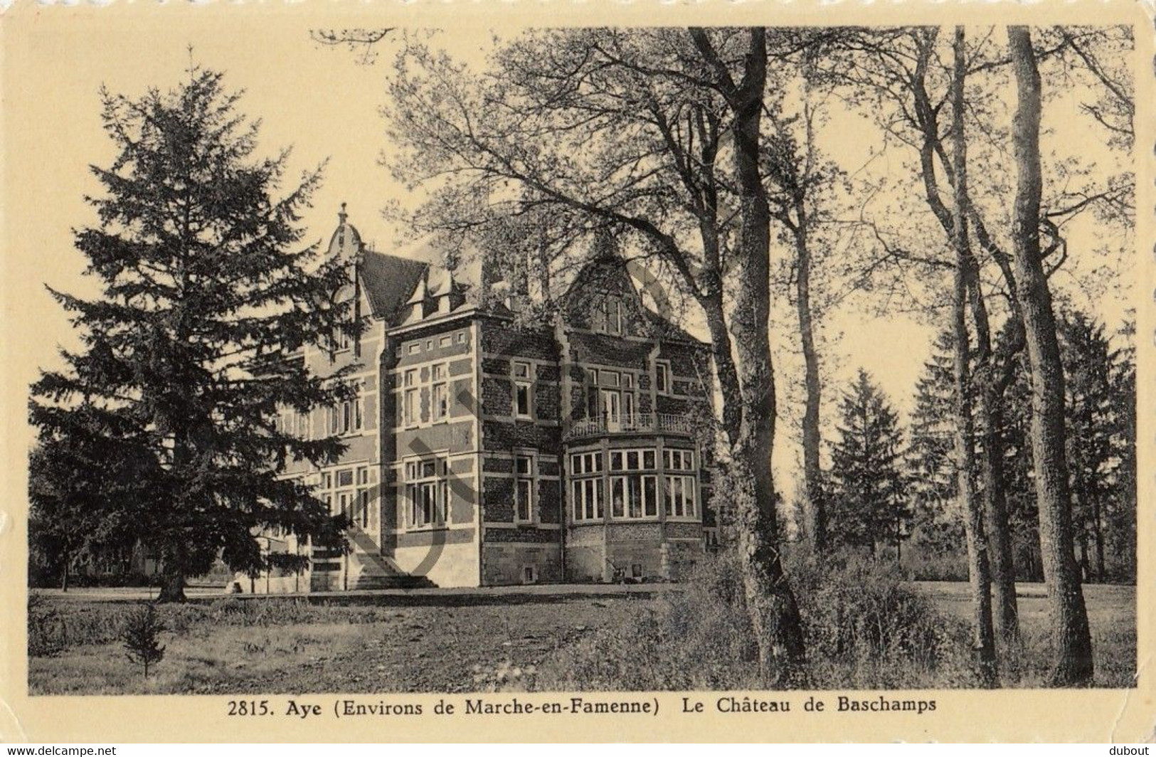 Postkaart/Carte Postale - AYE - Le Château De Baschamps (C1845) - Marche-en-Famenne