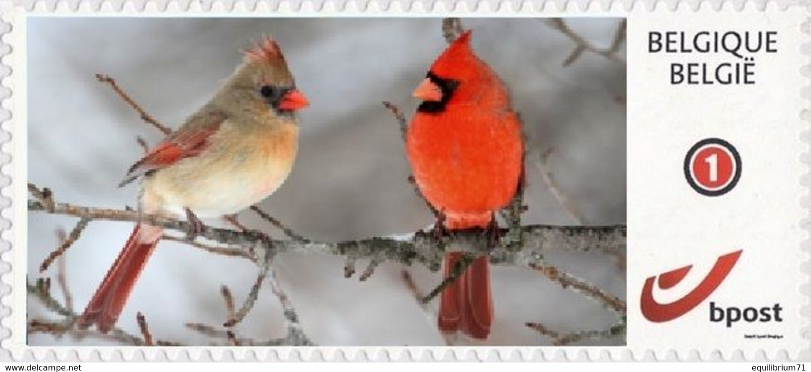 DUOSTAMP** / MYSTAMP** - Cardinal Rouge / Noordelijke Kardinaal / Nördlicher Kardinal / Cardinalis Cardinalis - Other & Unclassified