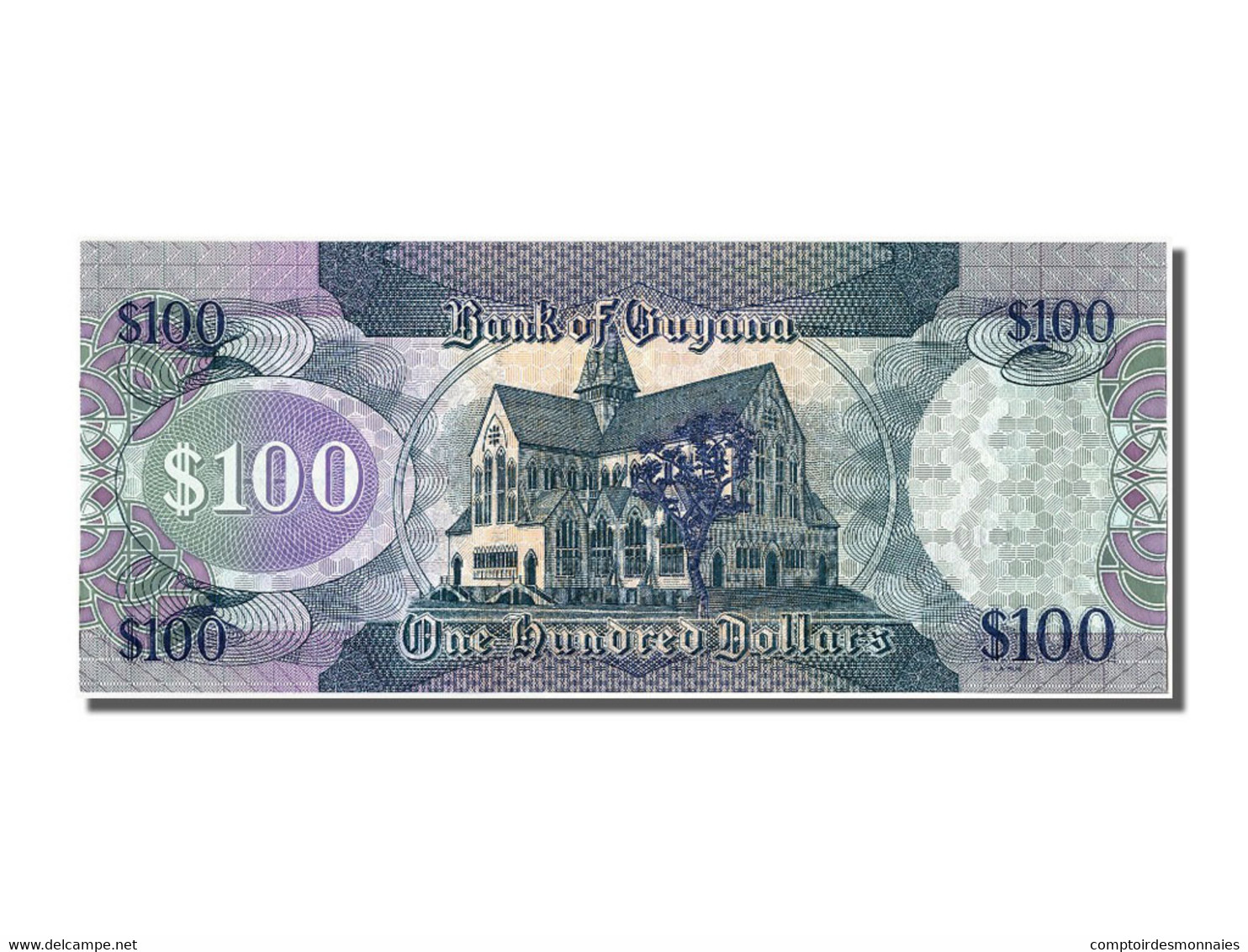 Billet, Guyana, 100 Dollars, NEUF - Guyana