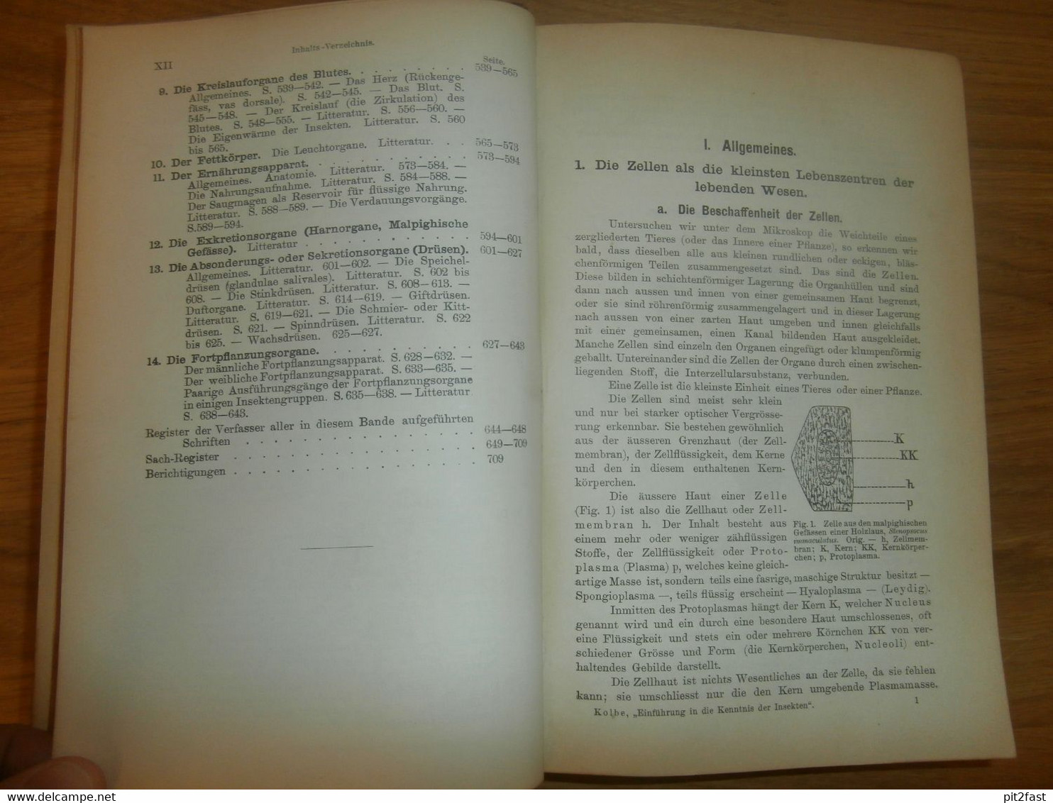 Einführung in die Kenntnis der Insekten , 1893 , H.J. Kolbe , kgl. Museum der Naturkunde , Insektenkunde ,Entomologie !!