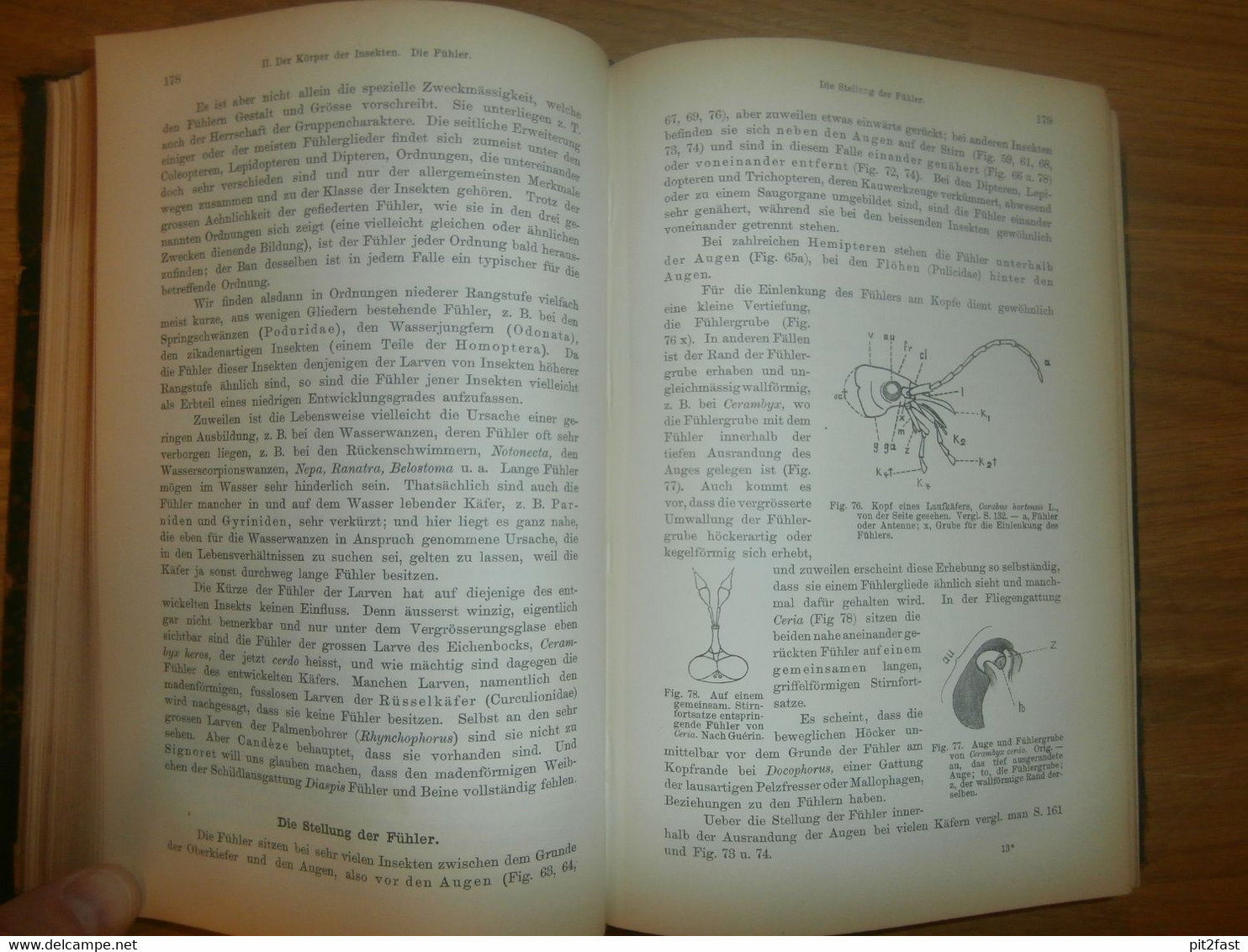 Einführung in die Kenntnis der Insekten , 1893 , H.J. Kolbe , kgl. Museum der Naturkunde , Insektenkunde ,Entomologie !!