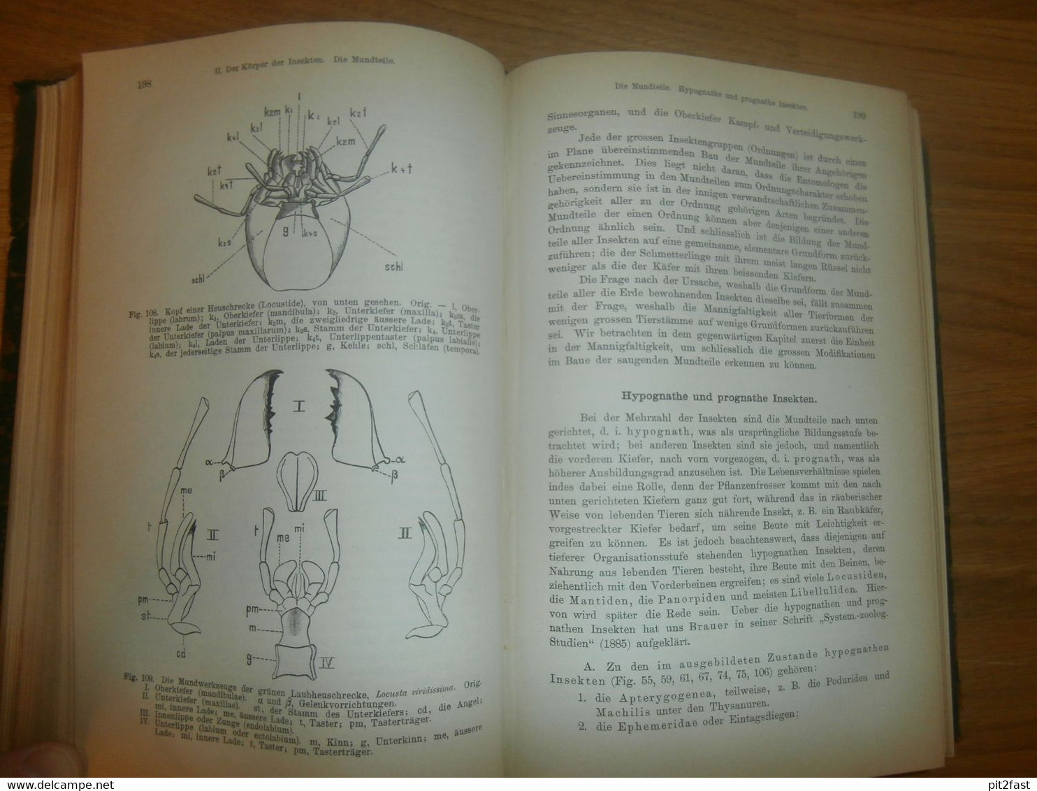 Einführung in die Kenntnis der Insekten , 1893 , H.J. Kolbe , kgl. Museum der Naturkunde , Insektenkunde ,Entomologie !!