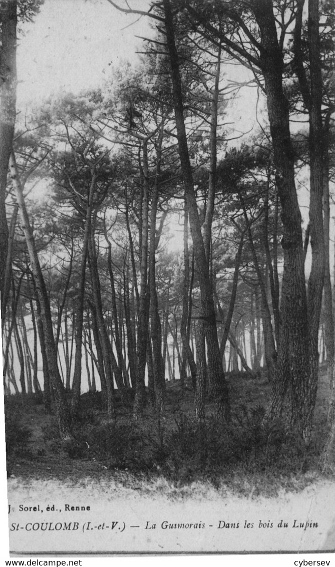 SAINT-COULOMB - La Guimorais - Dans Les Bois Du Lupin - Saint-Coulomb