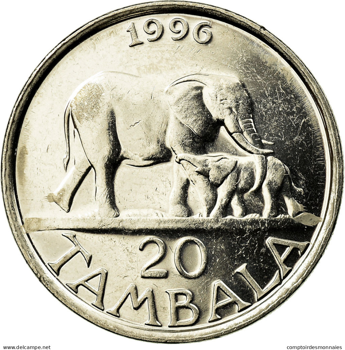 Monnaie, Malawi, 20 Tambala, 1996, TTB, Nickel Clad Steel, KM:29 - Malawi