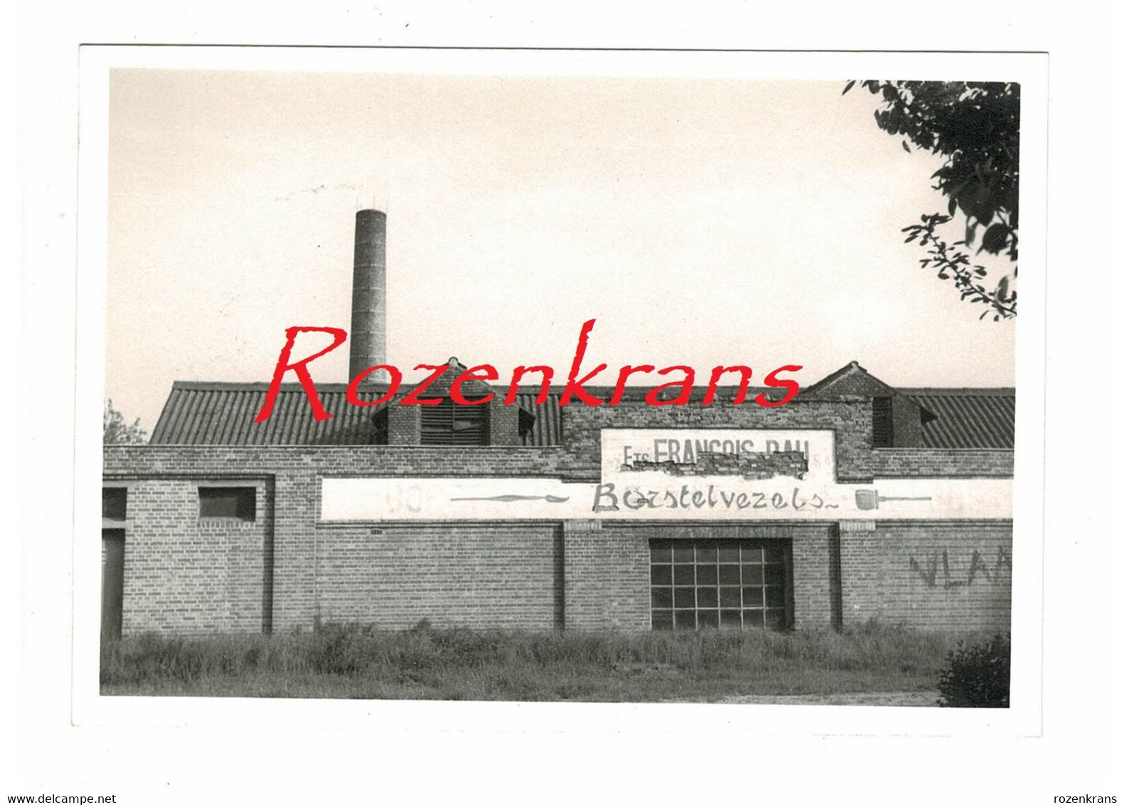 Unieke Oude Foto Sa Etablissements François Rau Fabriek Voor Borstelvezels In Lint ZELDZAAM Usine Matieres Pour Brosses - Niel