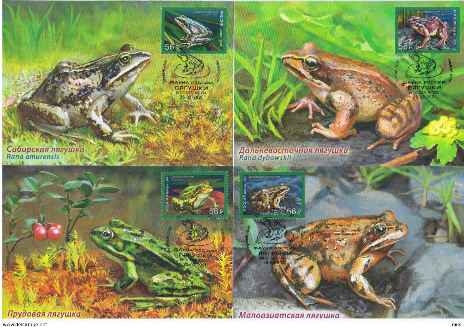 Russia 2021 Frogs Frog Fauna, Maximum Cards Card - FDC