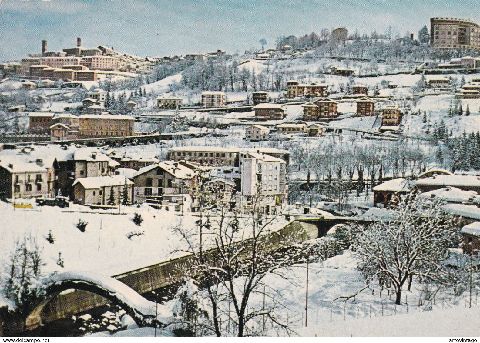 Cartolina - Mondovì ( Cuneo ) Panorama - Cuneo