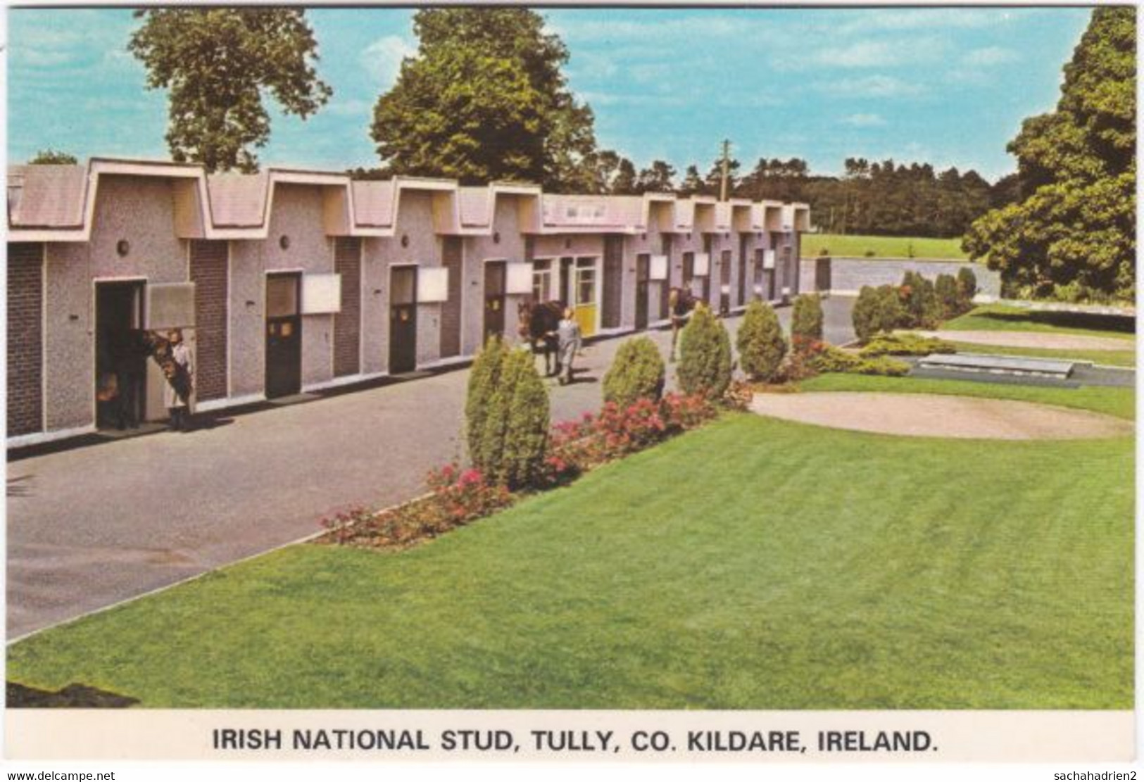 Gf. Irish National Stud, TULLY, Co. KILDARE. The Stallions Go On Parade - Kildare