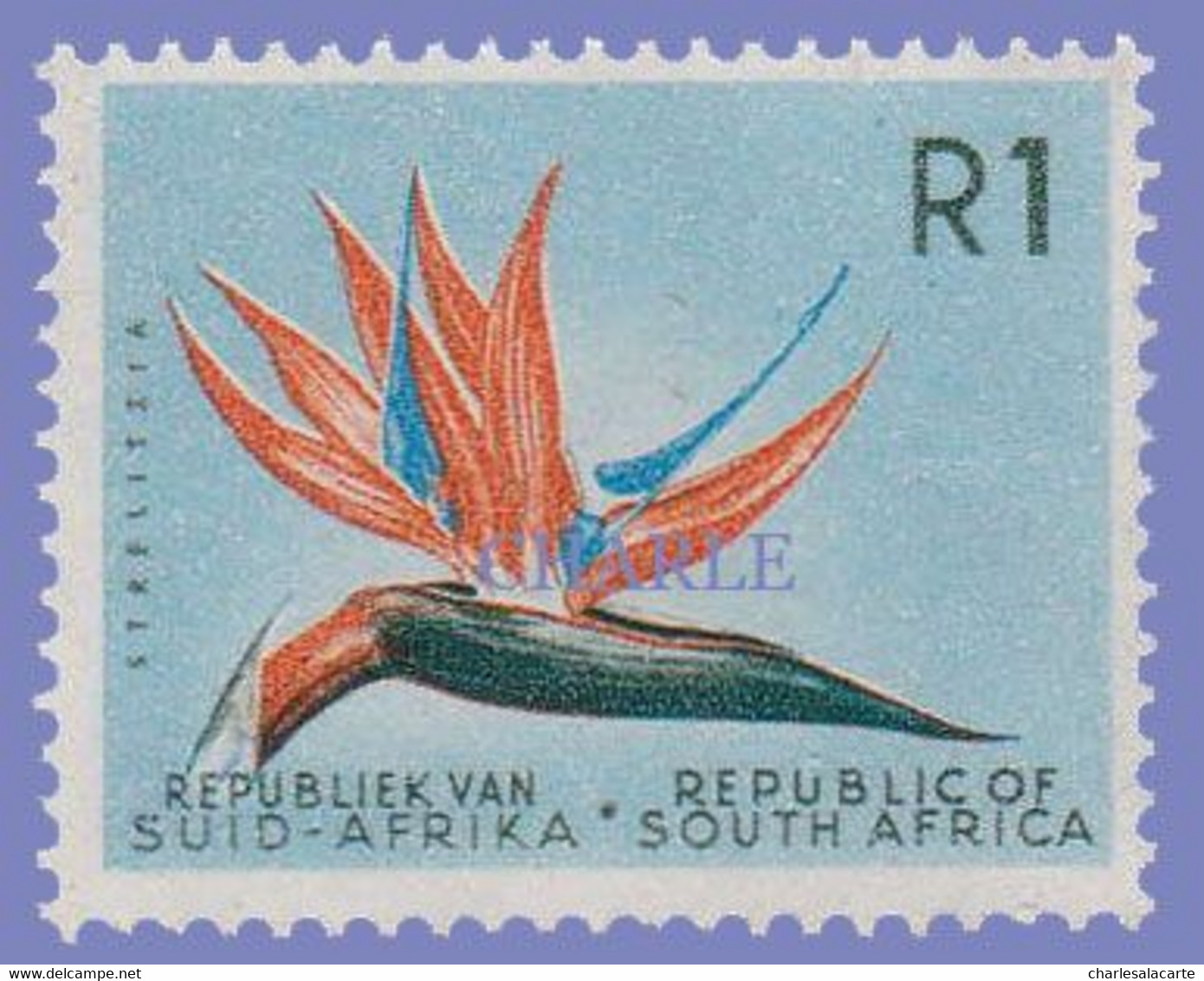 SOUTH AFRICA  1961  1R. FLOWER STRELIZIA.   S.G. 210  U.M. - Neufs