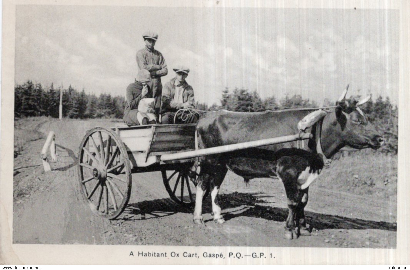 CPA  CANADA---A HABITANT OX CART, GASPE - Gaspé