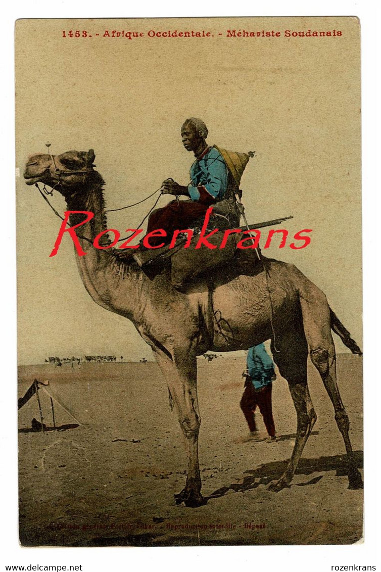 Soudan Sudan CPA Méhariste Soudanais Camel Cavalry Empire Colonial Français Native Ethnique Afrique Africa Carte Postale - Sudán