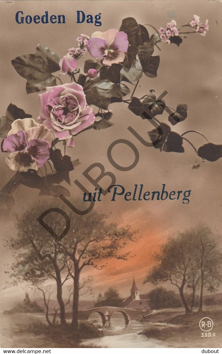 Postkaart/Carte Postale - PELLENBERG - (C1883) - Lubbeek