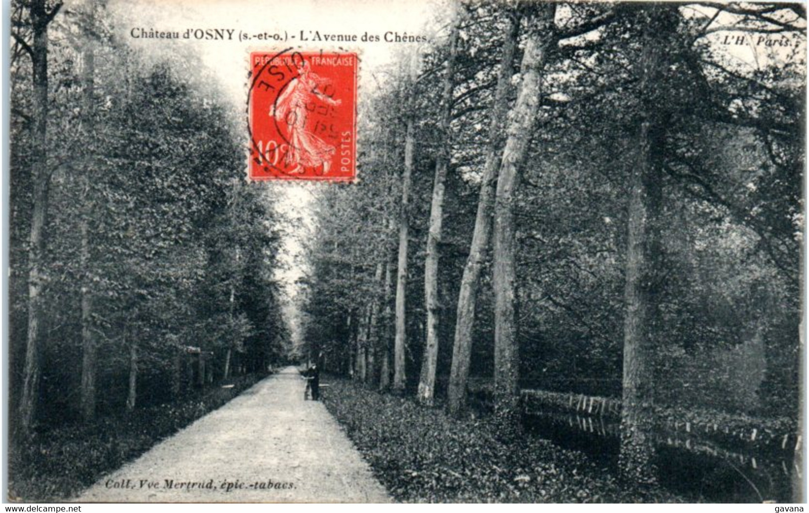 95 OSNY - L'avenue Des Chenes - Osny