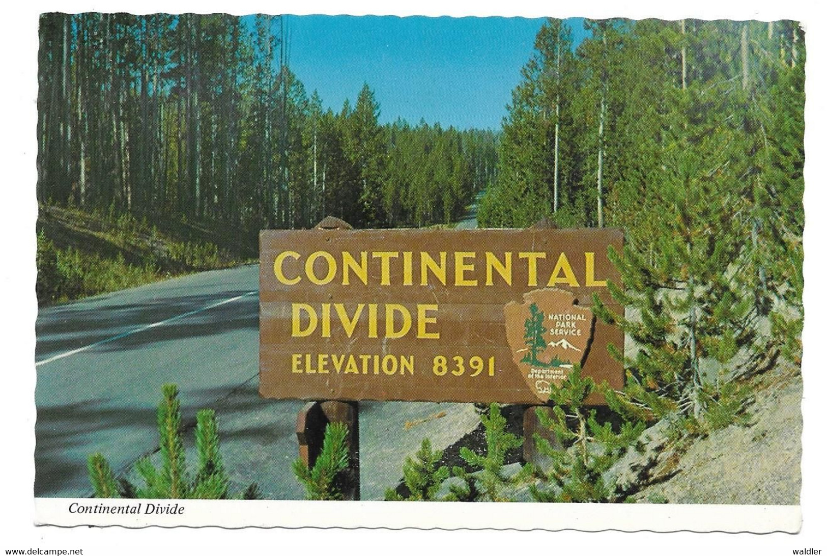 WY - WYOMING  --  YELLOWSTONE - CONTINENTAL DIVIDE - Yellowstone