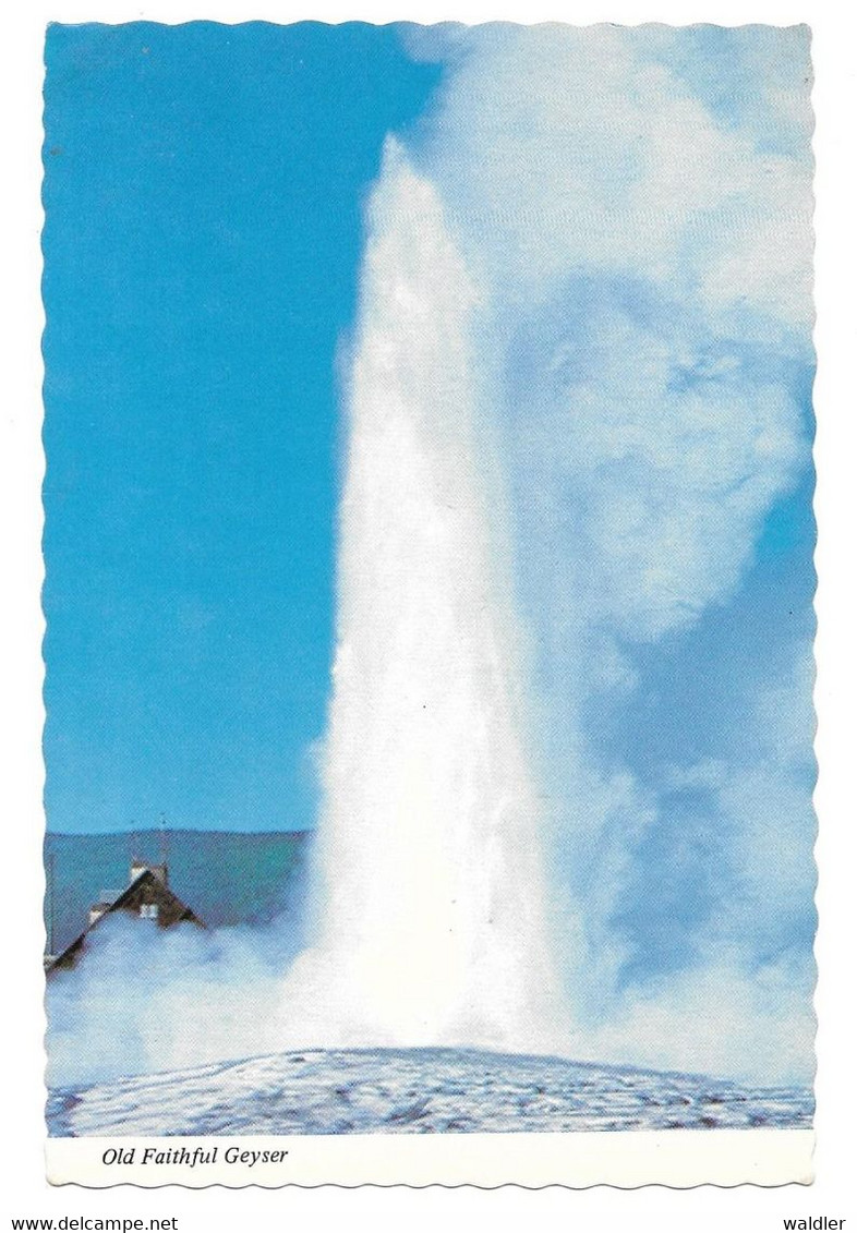 WY - WYOMING  --  YELLOWSTONE - OLD FAITHFUL GEYSER - Yellowstone