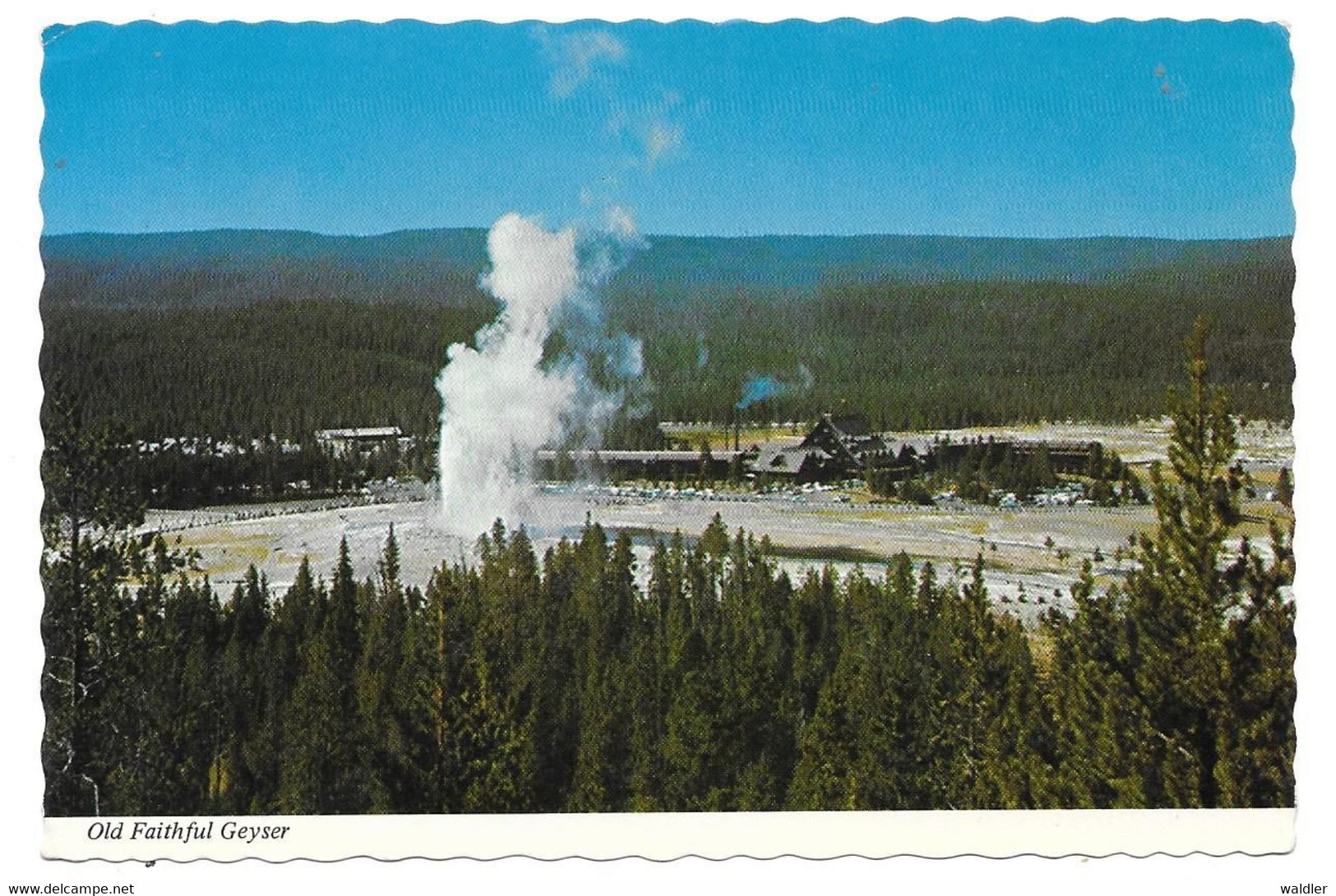 WY - WYOMING  --  YELLOWSTONE - OLD FAITHFUL GEYSER - Yellowstone