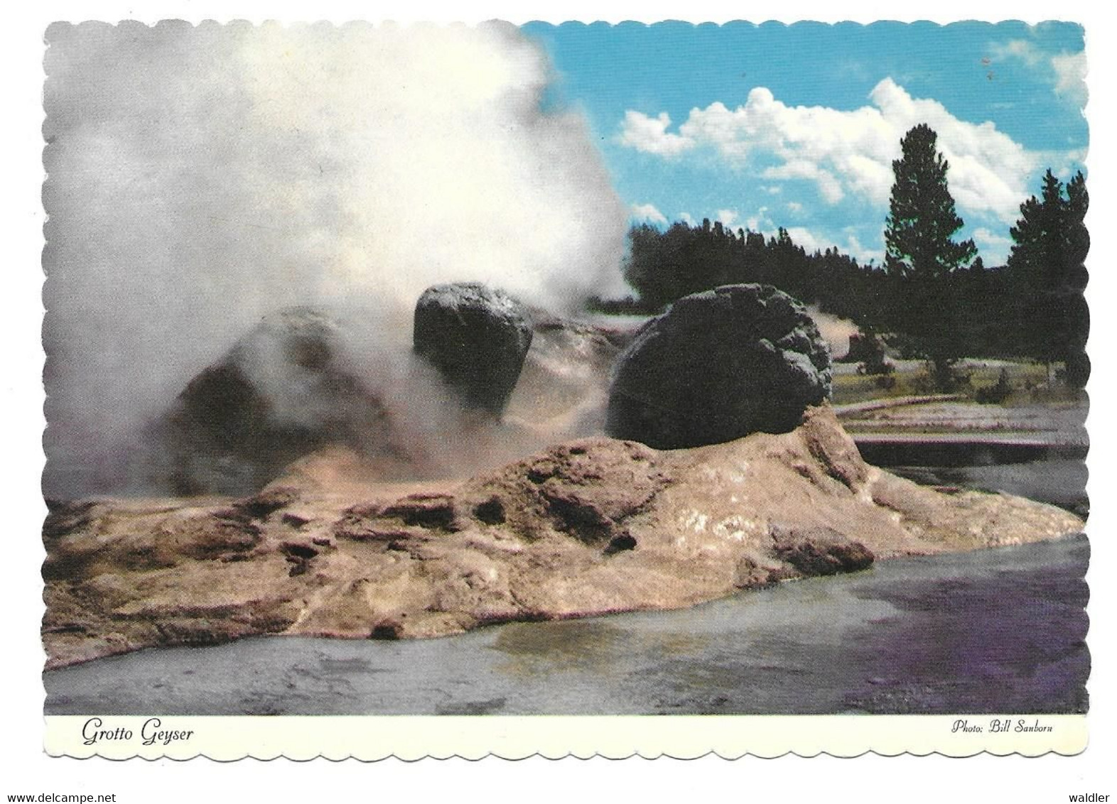 WY - WYOMING  --  YELLOWSTONE - GROTTO GEYSER - Yellowstone