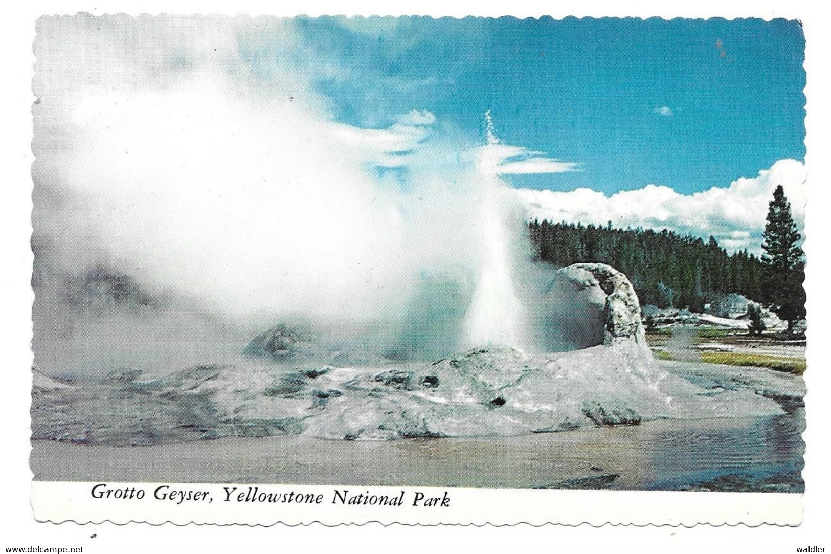 WY - WYOMING  --  YELLOWSTONE - GROTTO GEYSER - Yellowstone