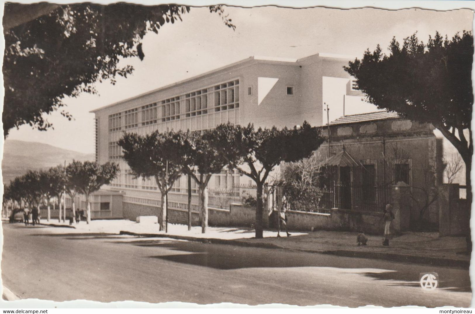 Algérie : GUELMA :  école  Antole  France - Guelma