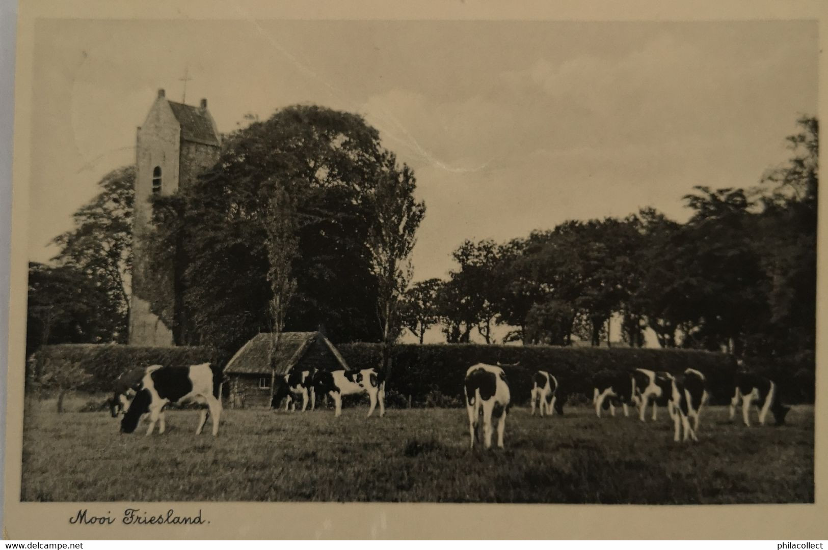 Mooi Friesland Serie No 4 (koeien) 1938 - Sonstige & Ohne Zuordnung