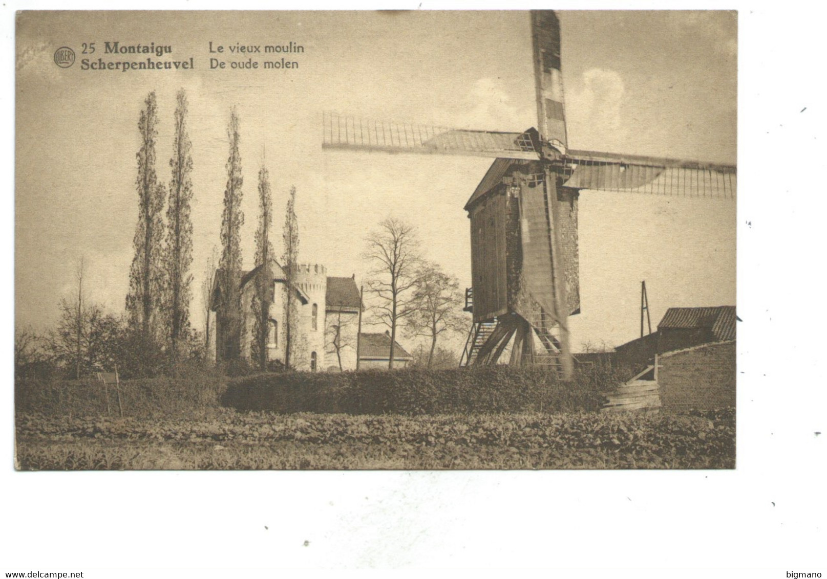 Montaigu Scherpenheuvel Moulin à Vent De Oude Molen - Scherpenheuvel-Zichem