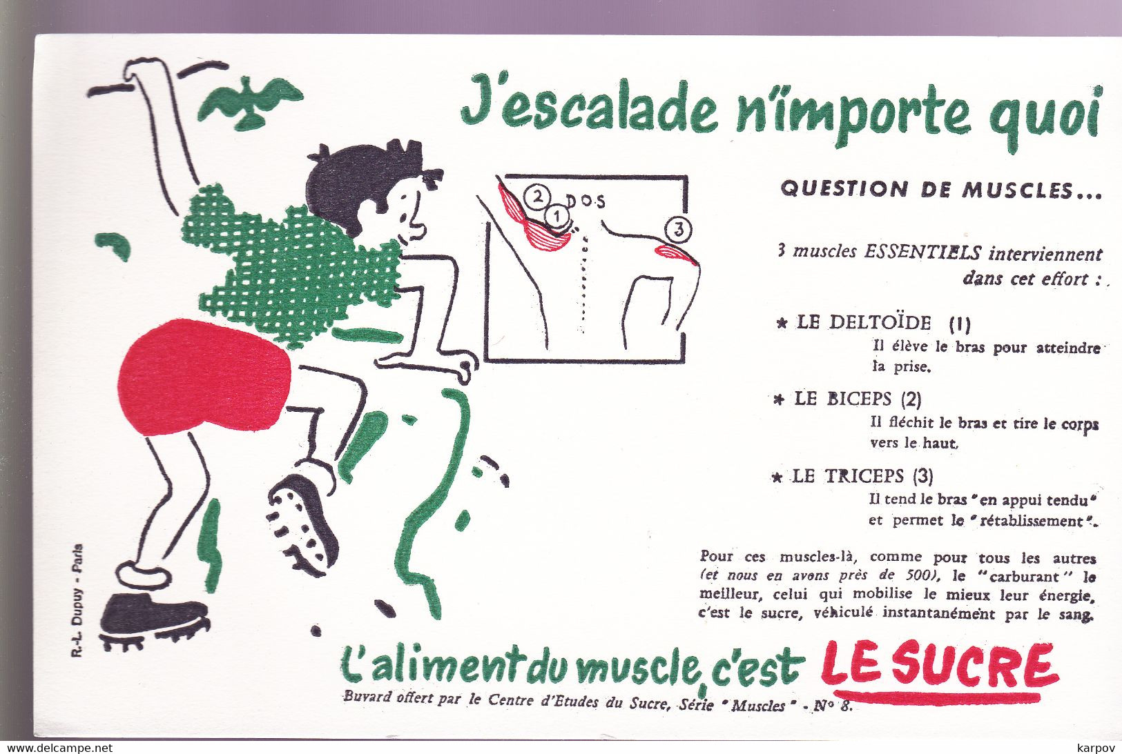 BUVARDS - L'ALIMENT DU MUSCLE C'EST LE SUCRE - Cake & Candy