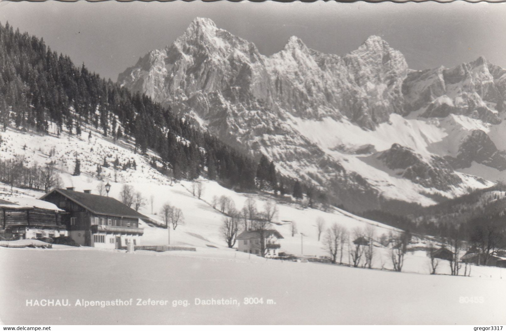 A9901) HACHAU - Alpengasthof ZEFERER Geg. Dachstein - Stark Verschneit ALT  !! - Filzmoos