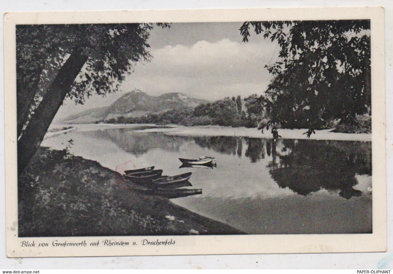 5340 BAD HONNEF - GRAFENWERTH, Blick Von Der Insel Auf Den Rheinarm Und Drachenfels, 1953 - Bad Honnef