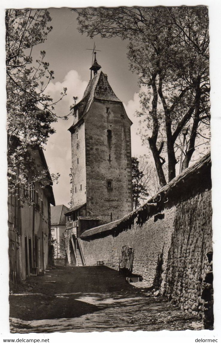 CPSM Photo Foto Isny Im Allgäu Bade Wurtemberg Allemagne Deutschland Espantor éditeur Gebr. Metz Tübingen - Isny