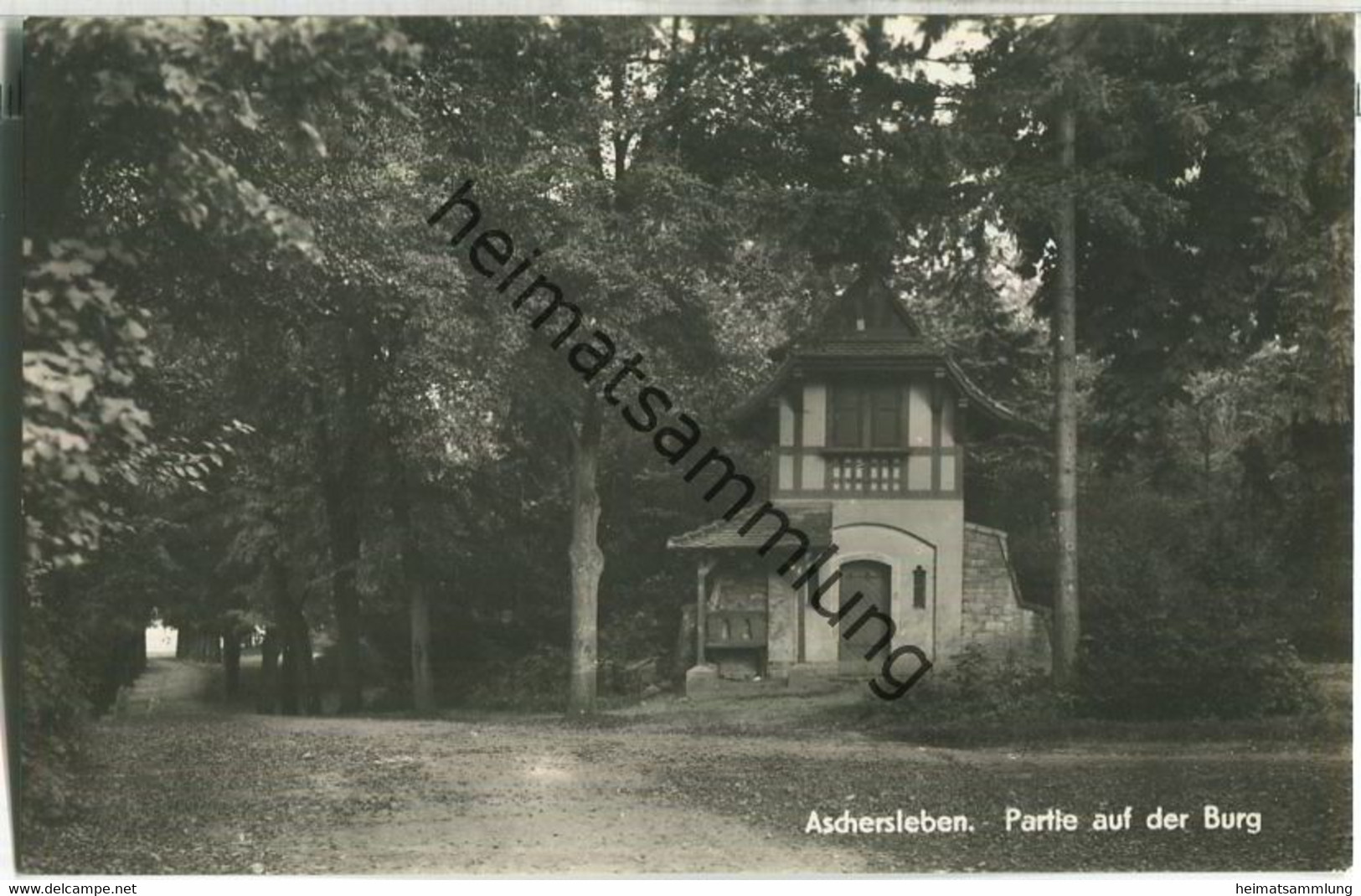 Aschersleben - Partie Auf Der Burg - Foto-AK - Verlag Otto Diederichs Halberstadt - Aschersleben