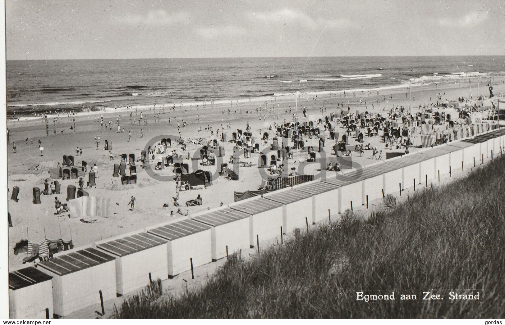 Netherlands - Egmond Am Zee - Strand - Egmond Aan Zee