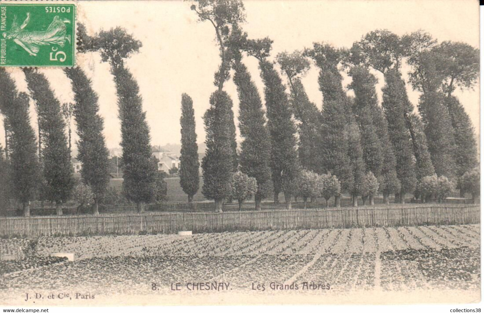 Le Chesnay - Les Grands Arbres - Le Chesnay