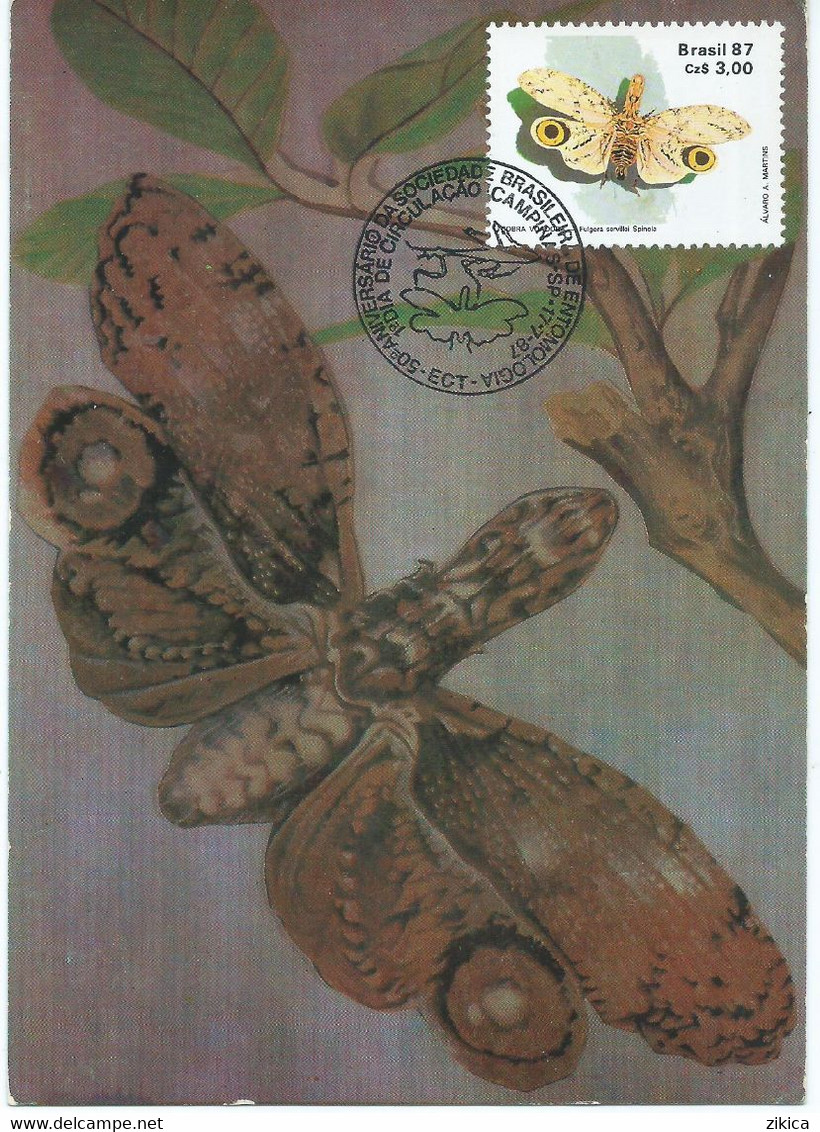 Brazil - Maximum Card - 1987 The 50th Ann. Of The Brazilian Entomology Society.butterflies / Papillons - Tarjetas – Máxima