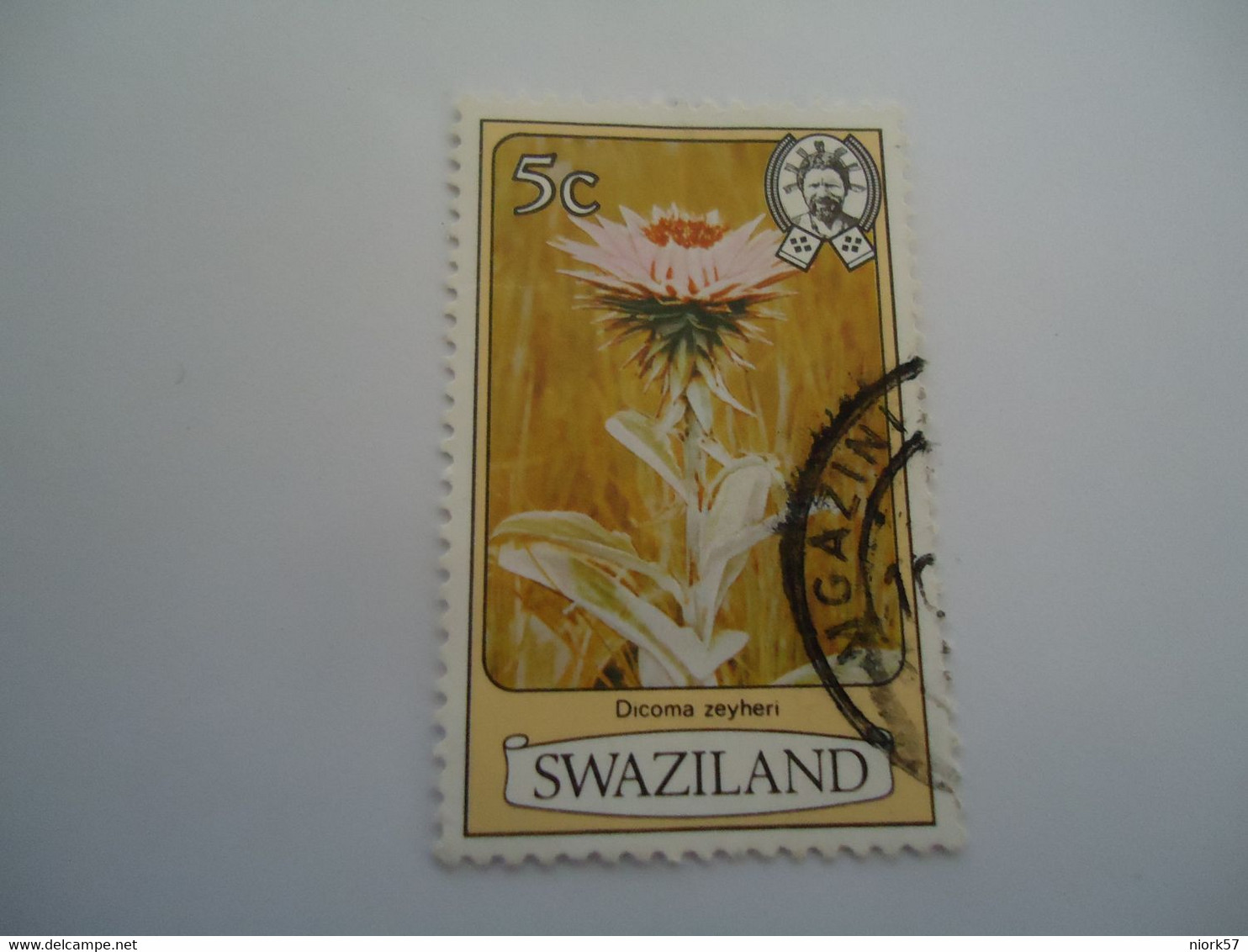 SWAZILAND  USED STAMPS  FLOWERS  CACTUS - Swaziland (1968-...)