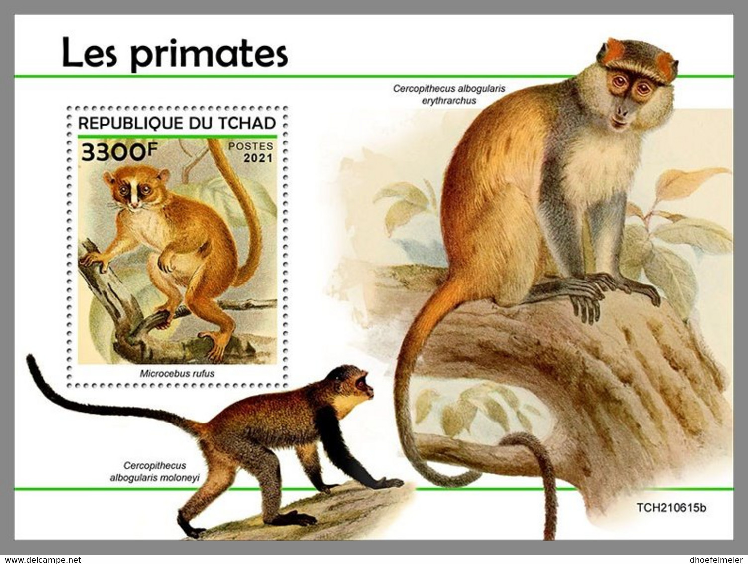 CHAD 2021 MNH Primates Monkeys Affen Primaten Singes S/S - OFFICIAL ISSUE - DHQ2212 - Scimmie