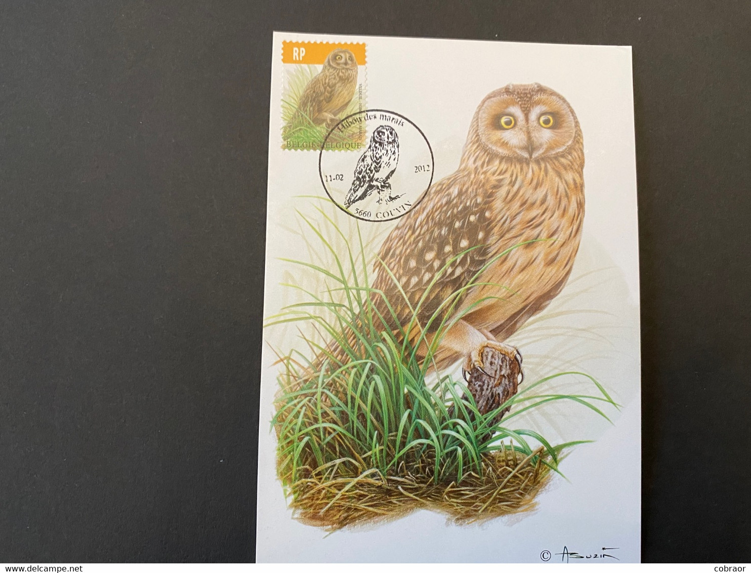 BUZIN - Carte Oiseaux CM : Numéro 4218 "Hibou Des Marais" Autre Version - 2011-..