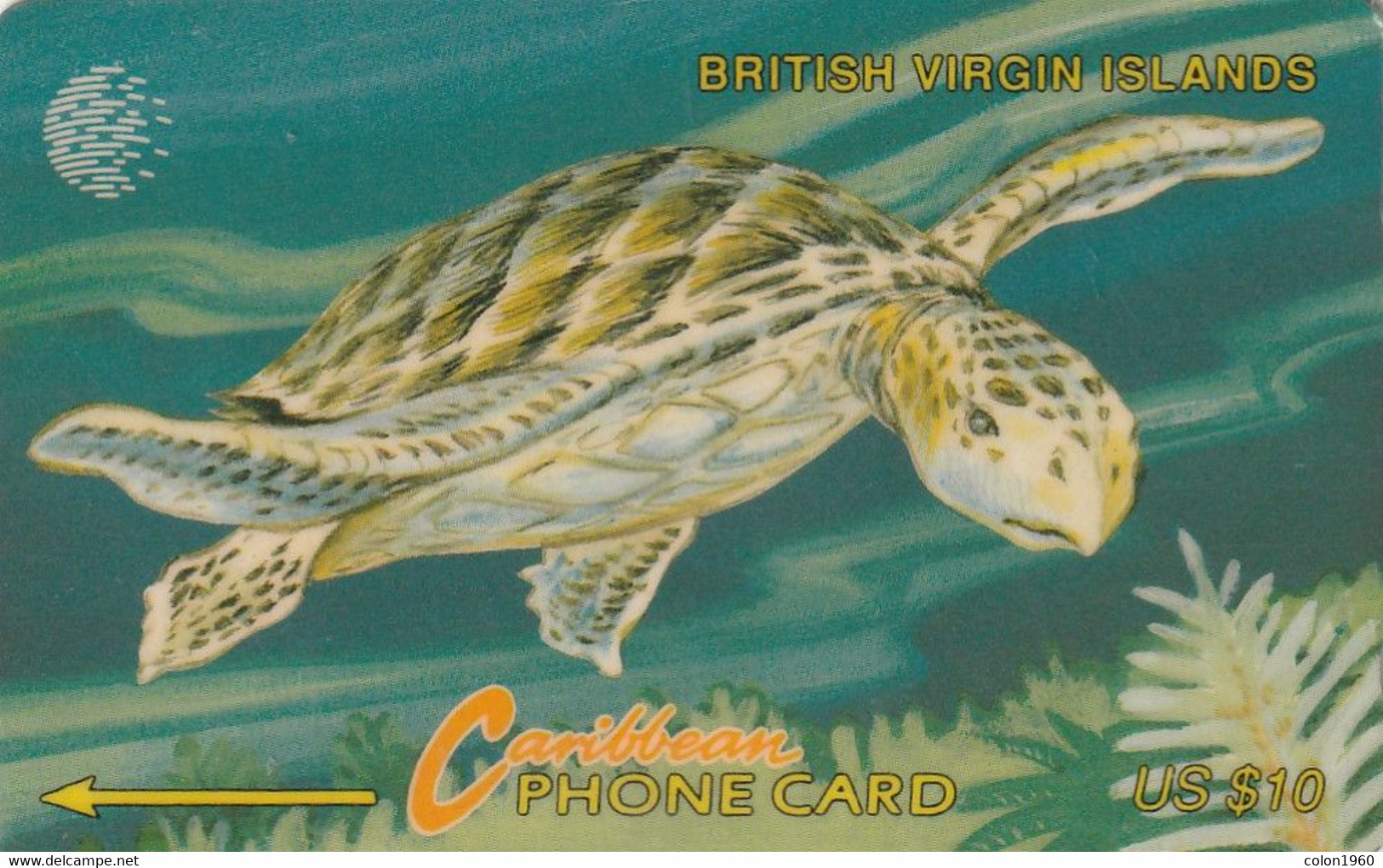 ISLAS VIRGENES BRITANICAS. BVI Wild Life - Turtle. 1994. BVI-19C. 19CBVC. 22500 Ex. (882) - Virgin Islands