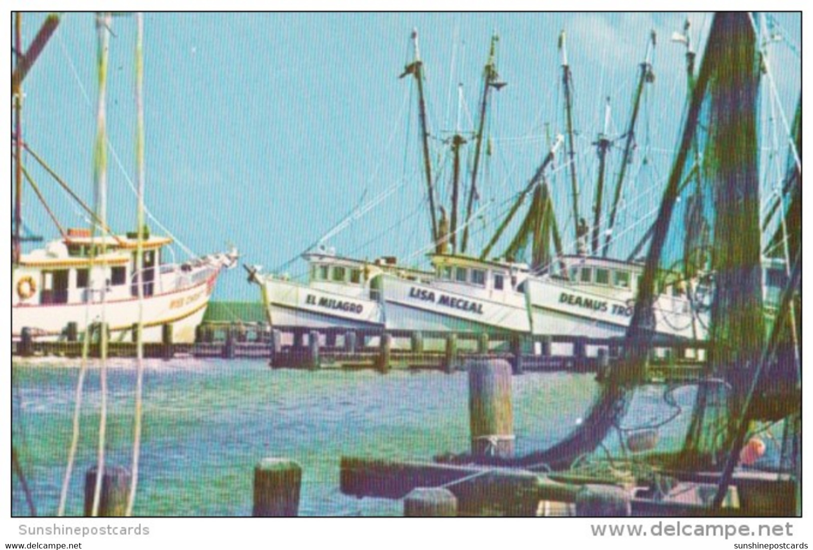 Texas Corpus Christi Shrimp Fleet - Corpus Christi