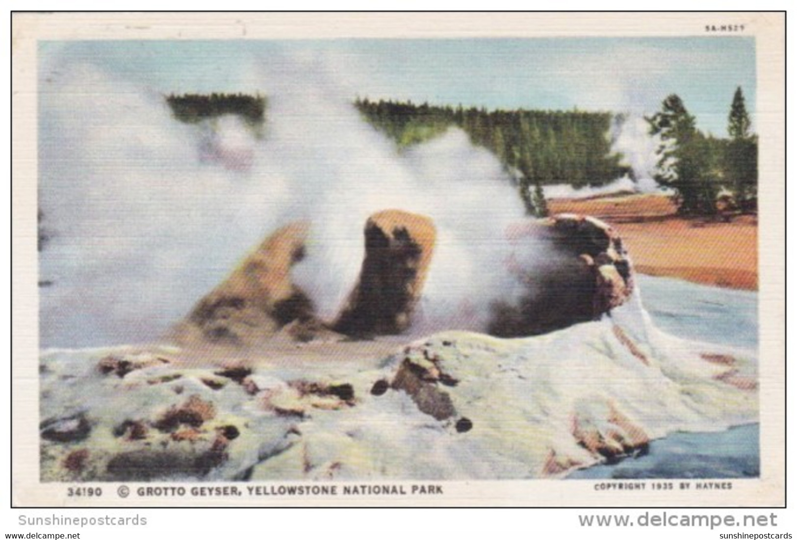 Grotto Geyser Yellowstone National Park Curteich - USA Nationalparks