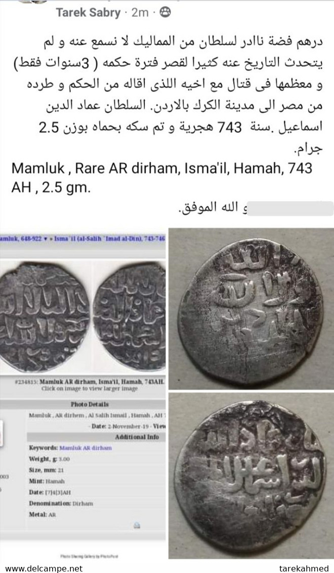 Mamluk , Rare AR Dirham, Isma'il, Hamah, 743 AH , 2.5 Gm. - Islamitisch