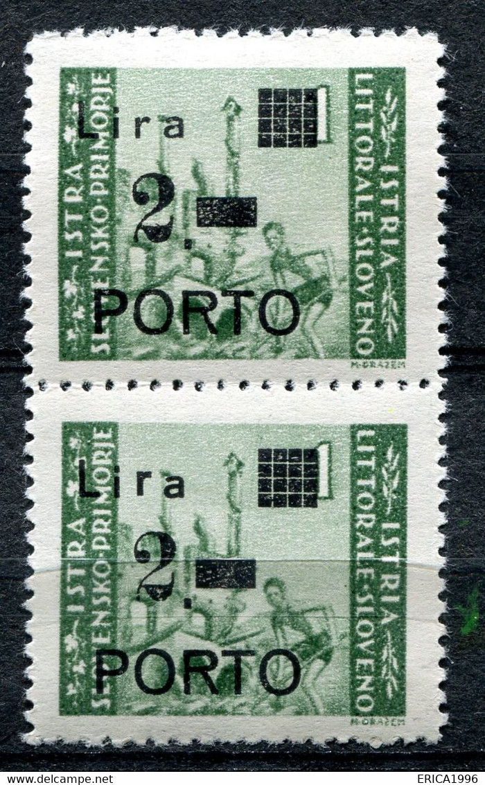 Z3316 ITALIA OCCUPAZIONI ISTRIA E LITORALE SLOVENO Segnatasse 1946 2 Lire, Coppia Con VARIETA', MNH**, Sassone 9d + 9, V - Yugoslavian Occ.: Slovenian Shore